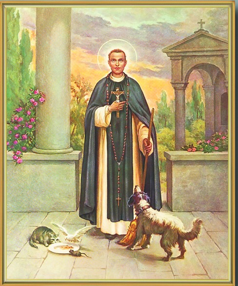 tradcatfem, st martin de porres, st martin de porres quotes, 