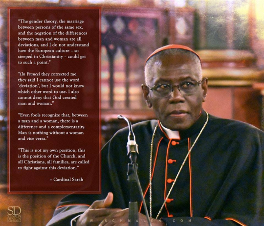 tradcatfem, cardinal sarah, differences between men and women, physical differences between men and women, psychological difference between man and woman, male and female differences facts, personality differences between male and female, catholic teaching on gender, gender issue in the catholic church, the catholic church and gender, gender roles catholic church,