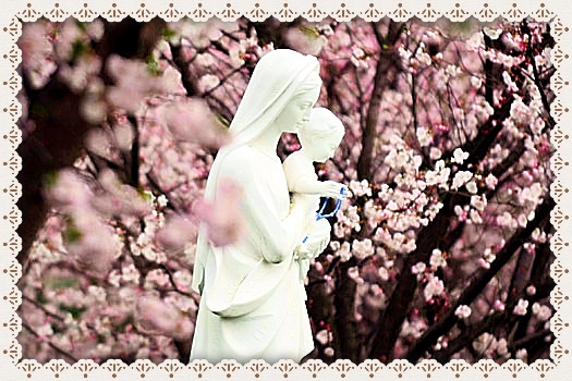 youtube traditional catholic, traditional catholic, traditional catholic femininity, catholic femininity, trad life, traditional catholic women, traditional catholic blog, tradcatfem, tcf,