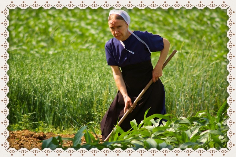 scrupulosity help, scrupulosity anonymous, scrupulosity and guilt, scrupulosity vatican, catholic modesty, catholic modesty standards, catholic modesty blog, catholic modesty definition, catholic modesty fashion, traditional catholic modesty, marian modesty, vatican modesty guidelines, traditional catholic dress code, ewtn modesty, catholic dress code for mass, modesty blog, traditional catholic clothing, traditional catholic woman, fisheaters modesty, traditional catholic women's clothing,