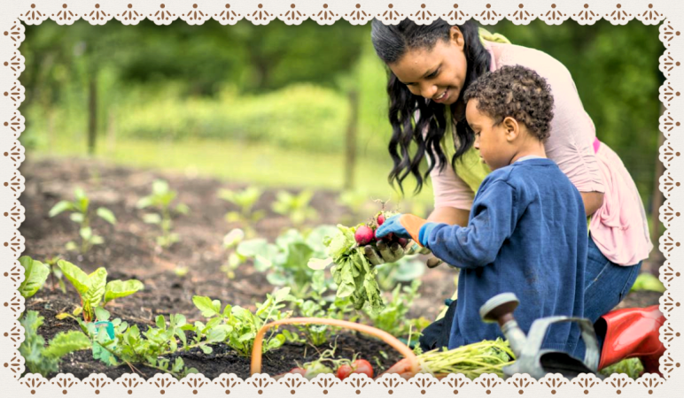 Victory garden, victory gardens, victory gardens today, what did victory gardens do, growing a modern victory garden, victory garden coronavirus, victory garden covid-19, victory garden catholic, victory garden homestead, victory garden homemaker,