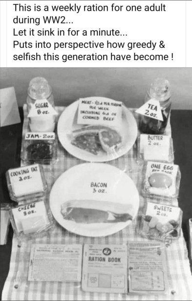 Victory garden, victory gardens, victory gardens today, what did victory gardens do, growing a modern victory garden, victory garden coronavirus, victory garden covid-19, victory garden catholic, victory garden homestead, victory garden homemaker, 