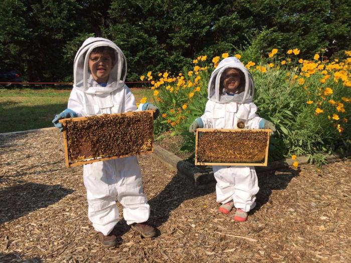 Bee day, world bee day, happy bee day, bee awareness, world bee day facts, save the bees, easy ways to save the bees, bees, bees save the world, facts about bees, bees endangered, why are bees important, why are bees important to the environment, why are bees important to humans, why are bees important to biodiversity, bees facts, beekeeping, beekeeping for beginners, how to start beekeeping, bee hotel, where to put a bee hotel, bee hotel instructions, Mary garden, Mary garden statue, Mary garden ideas, a garden for our lady, bees and catholicism, bee symbolism christianity, bees in the bible,