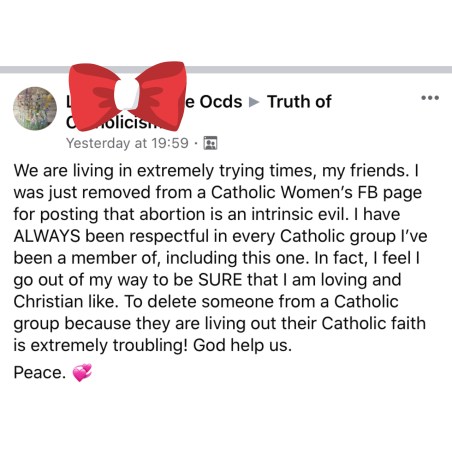 Catholic narcissism, narcissistic catholic, narcissistic catholic priests, traditional catholic narcissism, catholic view on narcissism, catholic response to narcissism, diabolical narcissism, catholic hypocrisy, catholic religion hypocrisy, pro birth not pro life, catholic pro life hypocrisy, pro life fraud, pope Francis empathy, gift of empathy catholic, charism catholic, why is empathy important in a catholic community, empathy catholic, compassion catholic virtue, virtue of compassion, traditional catholic, traditional catholicism, traditional catholic hypocrisy, tradcatfem, catholic femininity, traditional femininity blog, traditional catholic femininity blog, 